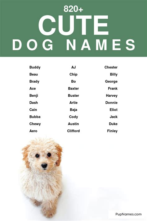 dignified dog names|cute names for dogs.